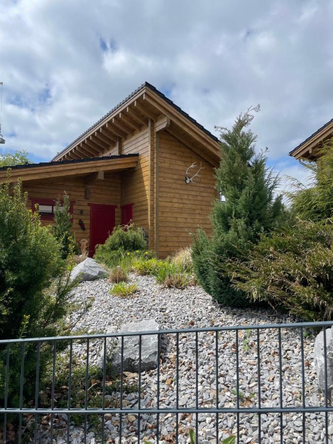 Blockhaus An Der Skiwiese Holiday home