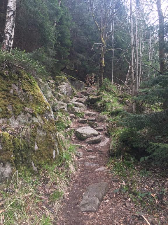 Blockhaus An Der Skiwiese Holiday home Braunlage